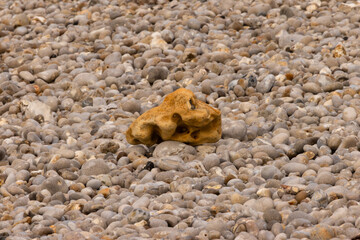 Close-up of smooth pebbles and a large weathered rock on a stony beach. Natural coastal texture highlighting geology and the beauty of seaside details.