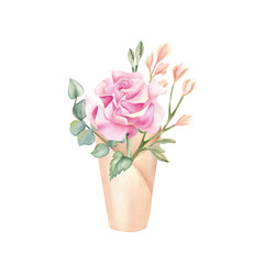 Delicate one rose bouquet in paper cone with leaf. Floral wrap pack in rustic style with pink flower, eucalyptus. Botanical floral watercolor illustration isolated from background, spring composition