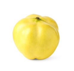 One fresh quince fruit isolated on white