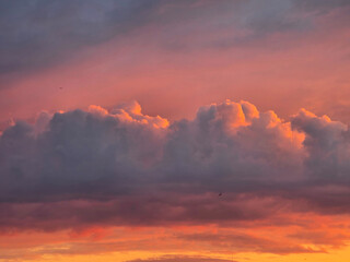 Sunset or sunrise landscape, nature light, cloudy sky. Red-violet, orange-blue, pink sunsets, flaming sky.