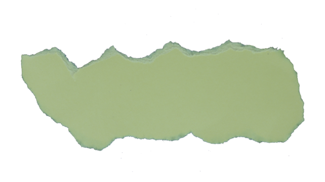 Green paper cut into a rectangle shape with copy space, PNG background. - Powered by Adobe