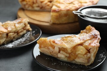 Pieces of delicious homemade apple pie on grey textured table, closeup