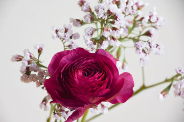 ラナンキュラスとスターチス