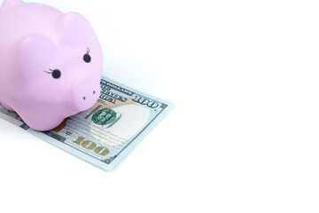 Pink piggy bank, dollars on a white background. savings concept, fundraising.