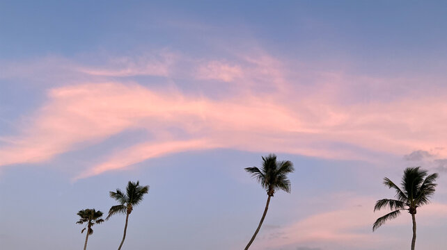 Silhouette of palm trees under a pink sky, dreamy tropical landscape at dusk