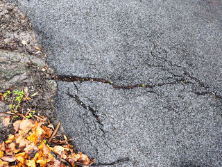 Cracked asphalt with autumn leaves and earth, a study in textures and decay