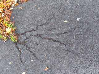 Cracked asphalt texture with autumn leaves and grass in the corner