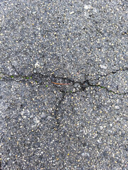 cracked asphalt texture with a small crack and some tiny pebbles