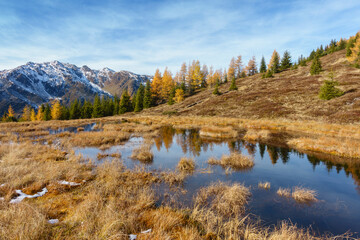 kleiner Bergsee in einem Meer aus herbstlichen Lärchen und verschneitem Berg im Hintergrund