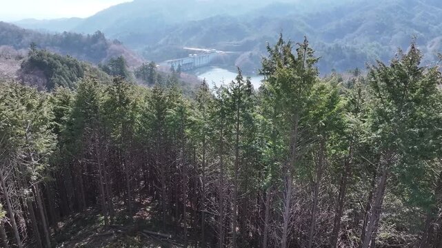 A breathtaking drone ascent over Kido Dam, emerging from the forest into a vast mountain panorama. The calm water and bright sky create a sense of freedom and natural grandeur.