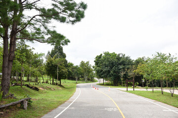 A winding road with traffic cones through a wooded park.