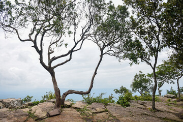 Steep rocky cliff overlooks a vast green forested valley below.