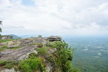 Steep rocky cliff overlooks a vast green forested valley below.
