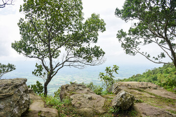 Steep rocky cliff overlooks a vast green forested valley below.