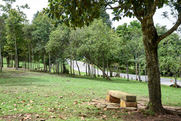 A rustic wooden bench sits in a grassy park by a road.