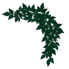 Dark Green Vine Leaf Corner Border Vector Illustration