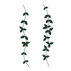 Minimalist Vertical Vine Border Elements: Set of Two Stylized Dark Green Botanical Dividers