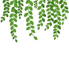 Simple Trailing Green Vines Illustration with Copy Space