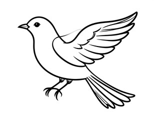 Fototapeta premium Line art of a bird in flight, with detailed wings and tail, on a plain white background. A simple, elegant illustration