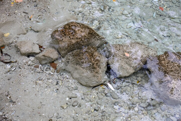 In Seewalchen am Attersee, Austria, the shallow waters reveal stones on its bottom