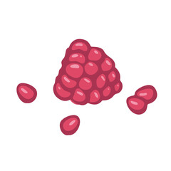 Raspberry fruit cosmetic ingredient illustration