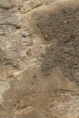 Close-up of a weathered stone wall surface showing rough texture, sand grains, and natural color variations in shades of beige and brown.