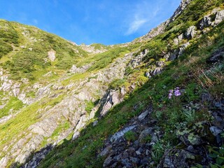 beautiful steep slope on the way to Mt. Akaishidake, Shizuoka City, Shizuoka Prefecture, Japan in August.