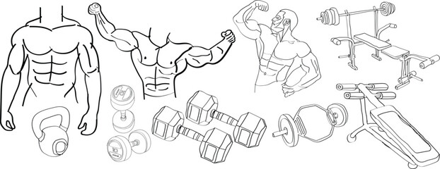 Obraz premium hand-drawn vector illustration of gym equipment & a bodybuilder