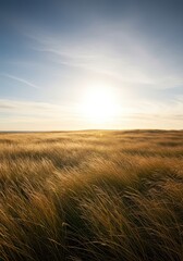 Obraz premium Powerful invisible currents create dynamic movement through the tall golden grass covering a remote hillside under a bright, expansive sky, open, remote, altitude