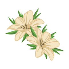 Vanilla flowers, a cosmetic ingredient, illustration