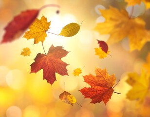 Fototapeta premium Autumn Leaves Falling in a Sunny, Golden Light.