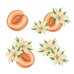 Peach, vanilla, cosmetic ingredient set, illustration