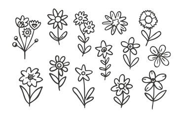 Collection of Hand-Drawn Line Art Flowers