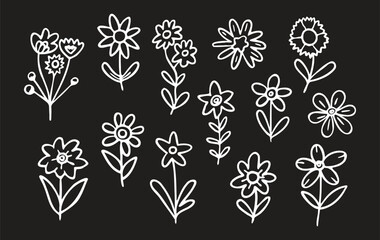 Collection of Hand-Drawn Line Art Flowers