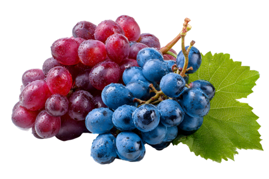 Fresh red and blue grapes with green leaf isolated on transparent background - Powered by Adobe