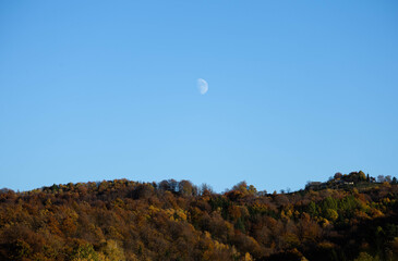 Moon in Blue Sky Above Autumn Forest Hills