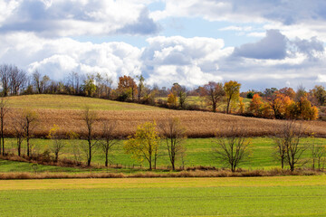 Rolling Hills Agricultural Land in Autumn, Holmes County, Ohio