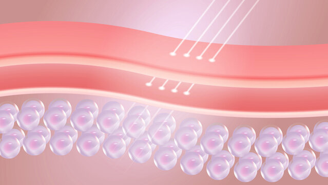 Skin Absorption and Cellular Penetration with Light Rays