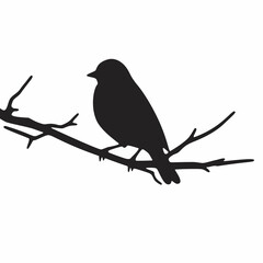 Elegant black silhouette of a small songbird perching gracefully on a bare tree branch, set against a stark white background, conveying a sense of serene nature and wildlife