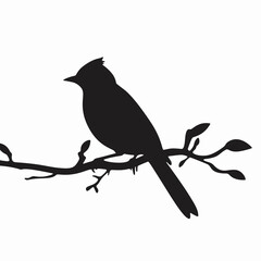 Silhouette of a Cardinal on a Branch A Simple Nature Illustration