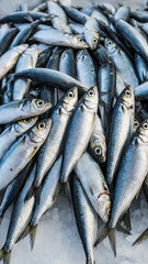 Obraz premium Fresh Catch: Vibrant Seafood Market Ice Display Showcasing Sustainable Marine Life and Fish Variety