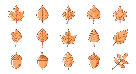Collection of Fall Leaves and Acorns A Vector Illustration for Autumn Designs