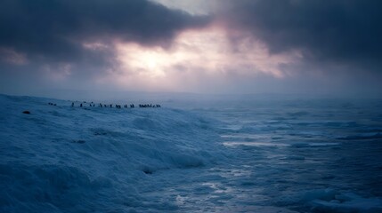 Obraz premium Penguins gathered on a vast frozen icy landscape under a dramatic cloudy sky at twilight