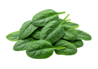 Vibrant emerald green baby spinach leaves, crisp, visible veins, artfully piled on a transparent background with copy space, soft studio light, macro close-up, healthy eating concept