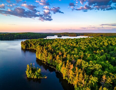 Aerial view of a lush, green forest bordering a serene, dark blue lake under a pastel sky