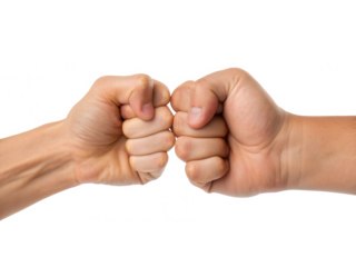 Two hands engaging in a fist bump, symbolizing celebration, agreement, or camaraderie.