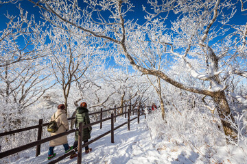 Winter landscape in Korea, Korean Winter atop Deogyusan Mountain at Deogyusan National Park near Muju, South Korea.