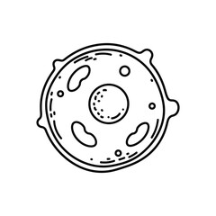 Detailed illustration of a circular biological cell structure with visible organelles and textures