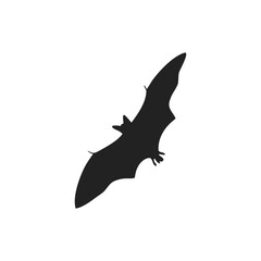 natural bat flying position