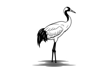 Elegant crane standing gracefully on one leg by the water's edge, showcasing serene nature